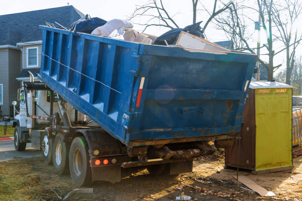 Best Shed Removal  in USA